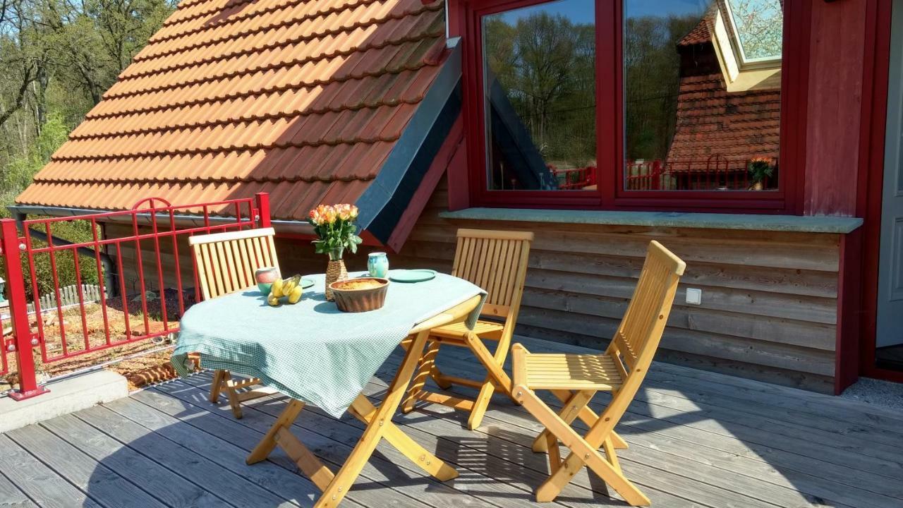 Ziegeleihof Inmitten Von Wiesen Und Waeldern Degenershausen Luaran gambar