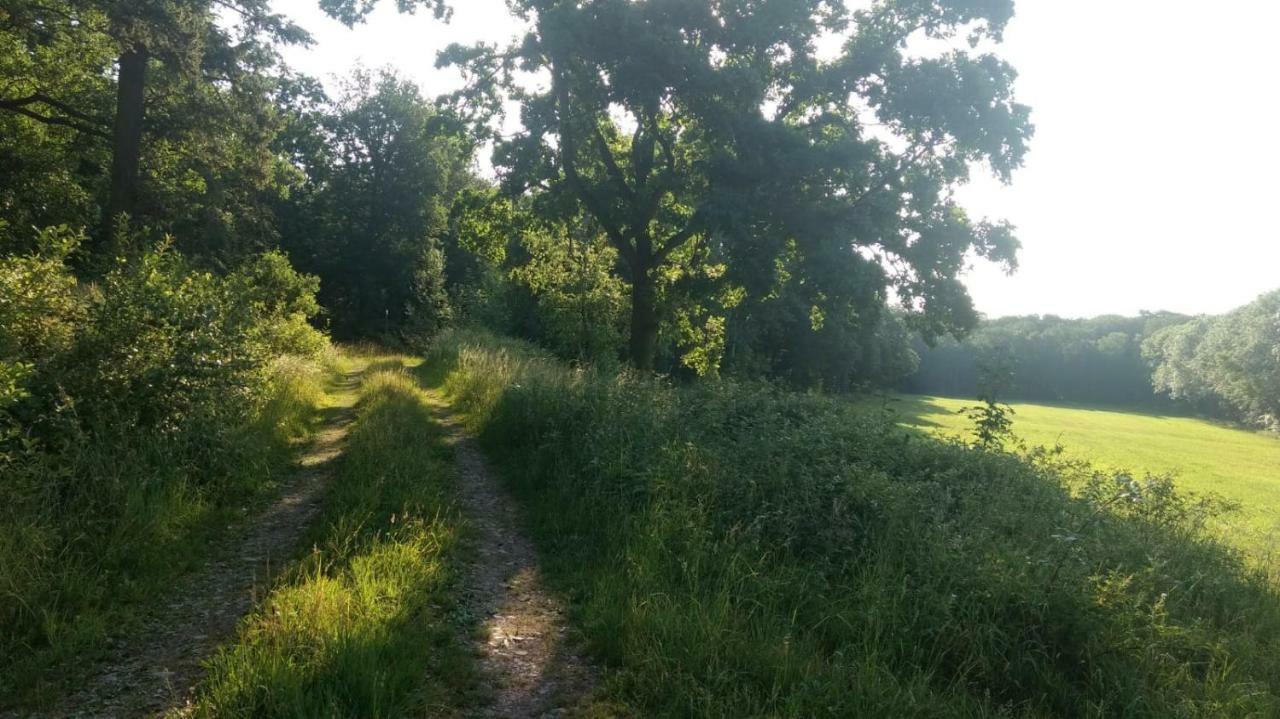 Ziegeleihof Inmitten Von Wiesen Und Waeldern Degenershausen Luaran gambar